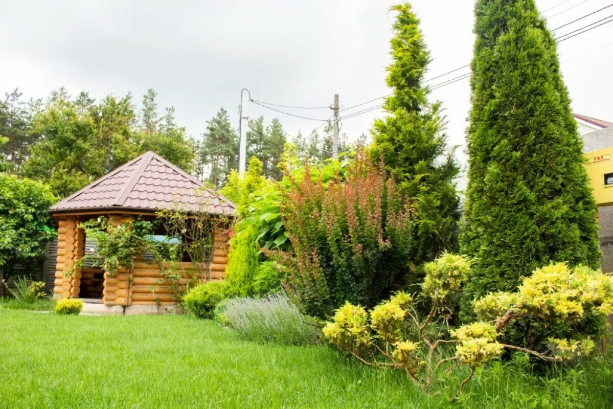 https://arzamas.tgv-stroy.ru/storage/app/uploads/public/637/ef4/fb3/637ef4fb3605f391429275.png